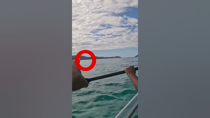Mom and dad almost got attacked by a shark while kayaking #shorts