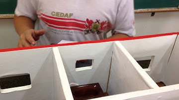 A casa do futuro - Domótica