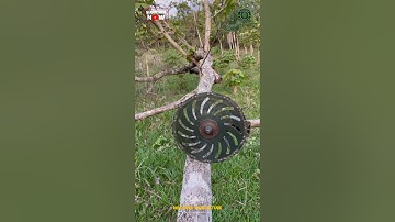 Tree Cutting Brush Cutter Attachment