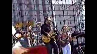 The Beach Boys live 1995   Sail on Sailor