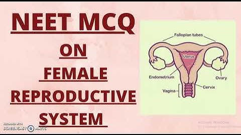 NEET EXAM |  MCQ | FEMALE REPRODUCTIVE SYSTEM