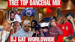 NEW DANCEHAL SONGS 2024 DANCEHALL MIX 2024 RAW AIDONIA SQUASH CHRONIC LAW RAJAHWILD KRAFF SKENG