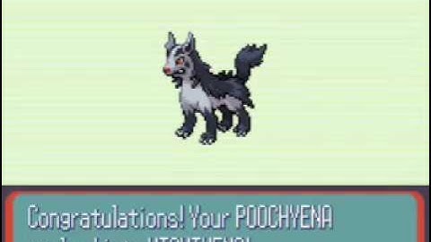 pokemon poochyena evolves in pokemon sapphire