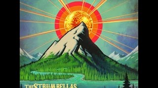 The Strumbellas Fesitval Forecast - Folk On The Rocks