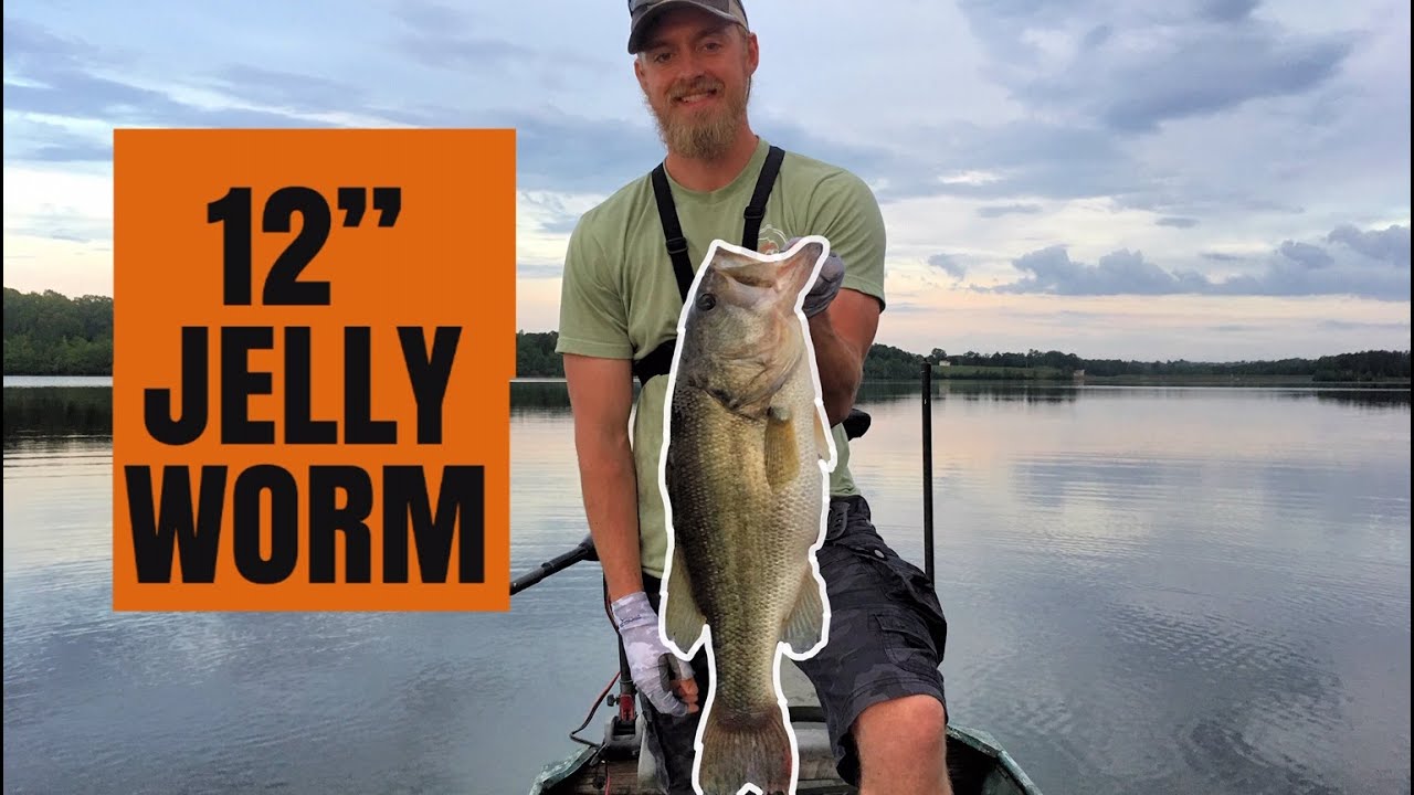 BIG BASS ON 12″ Jelly Worm
