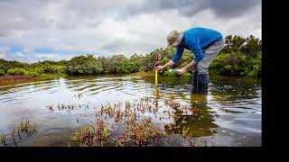 The IUCN Red List of Ecosystems Database