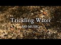3 Hours - Subtle Sounds of a Small Creek in a Forest - No Music