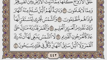 سورة يس مكتوبة / فضيلة الشيخ مشاري العفاسي