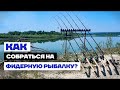 Как собрать НАБОР для РЫБАЛКИ на ФИДЕР ?!!  Выбор удилища, катушки... для Новичков и не только