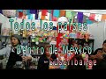 Feria internacional de la culturas amigas (video completo) video vlog