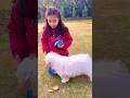 Amaira Ke Pas Aya Dog ЁЯШН Thegeetagurjar Shorta Amaira Ke Pas Aya Dog ЁЯШН Thegeetagurjar Shorta