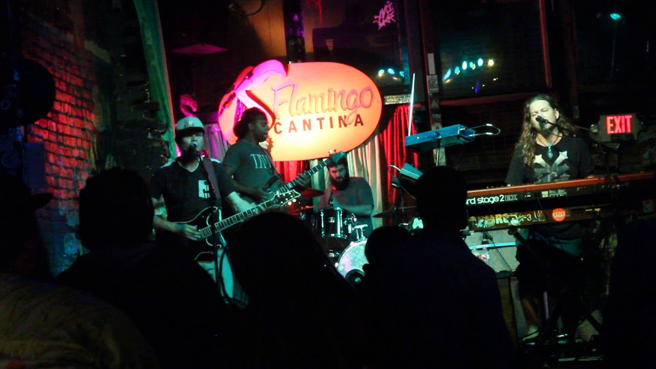 camera iphone 8 plus apk treehouse flamingo cantina austin tx october 19 2018 5