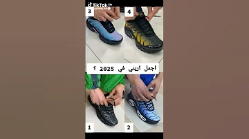 أريني 2025 
