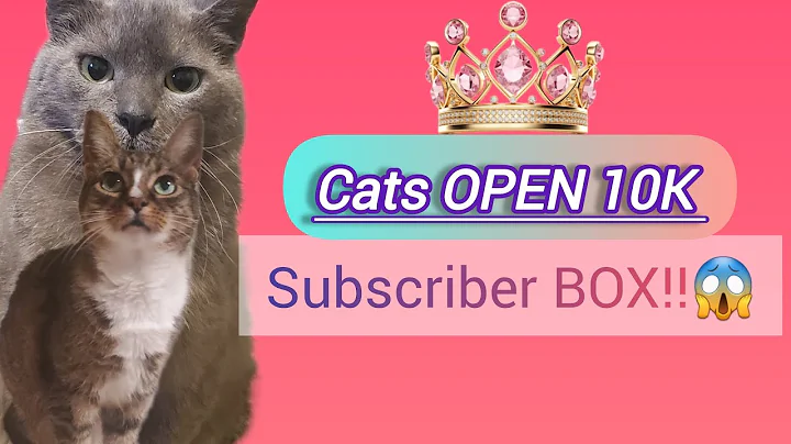 Video 8979321: tabby american shorthair, gray american shorthair, shorthair brown tabby, feline, cat