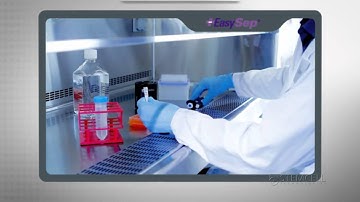 The "Easy 50" EasySep® Magnet: Portable Large-Volume Cell Separation In 25 Minutes