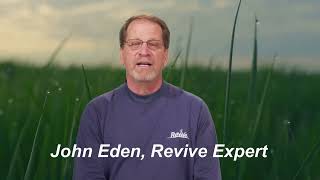 Why Is Revive Better Than Other Lawn Products?