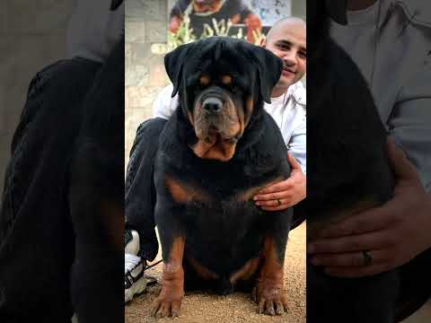 هنا هنا نووووو