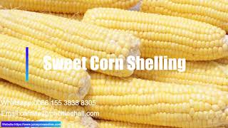 Frozen Vegetable Sweet Corn Processing Plant Production Line Shelling Threshing Freezing