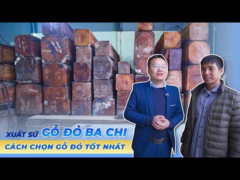 Video: Các nhà máy sản xuất đồ nội thất tốt nhất ở Nga - xếp hạng và đánh giá