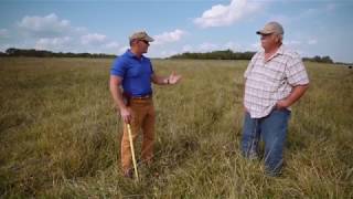 Adaptive Grazing 101: How to Calculate Available Dry Matter