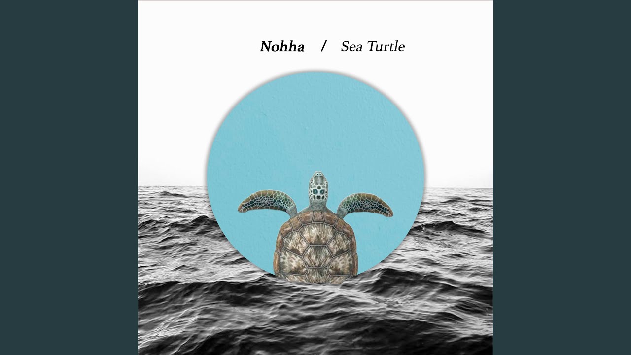 Watch Sea Turtle on YouTube Watch Sea Turtle on YouTube