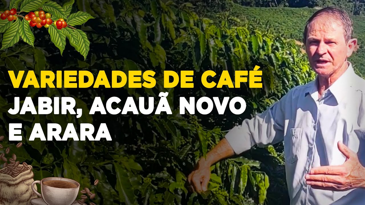 Conheça as Variedades de Café Jabir, Acauã Novo e Arara