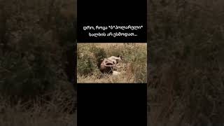 Тургенев Ася Улица Сталеваров #улица #тургенев #ася #turgenev #classic #lovestory #sadstory #bipolar