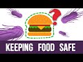 Food safety 101  the journey of food safety from farm to table