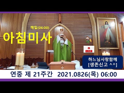 영상썸네일