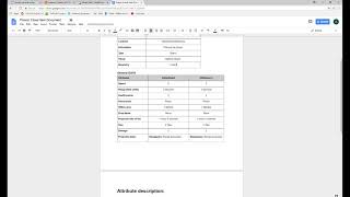 PNP4 NPC Item