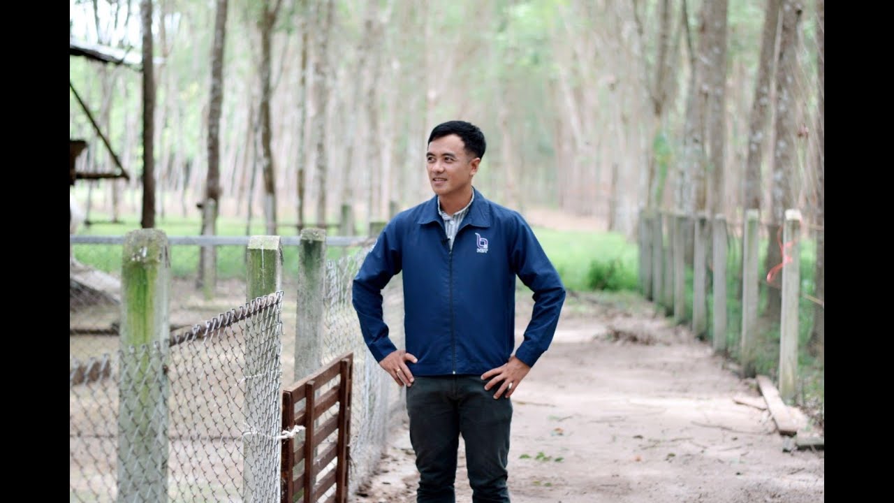 ไปแลถิ เลี้ยงแพะในสวนยาง วิสาหกิจเลี้ยงแพะ บ้านนาเดิม สนใจติดต่อคุณทวีศักดิ์ โทร 08-9884-1571