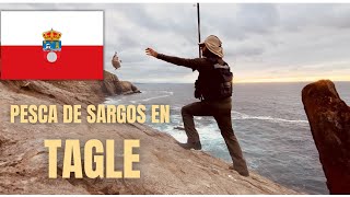 Pesca de SARGOS en TAGLE (Cantabria)