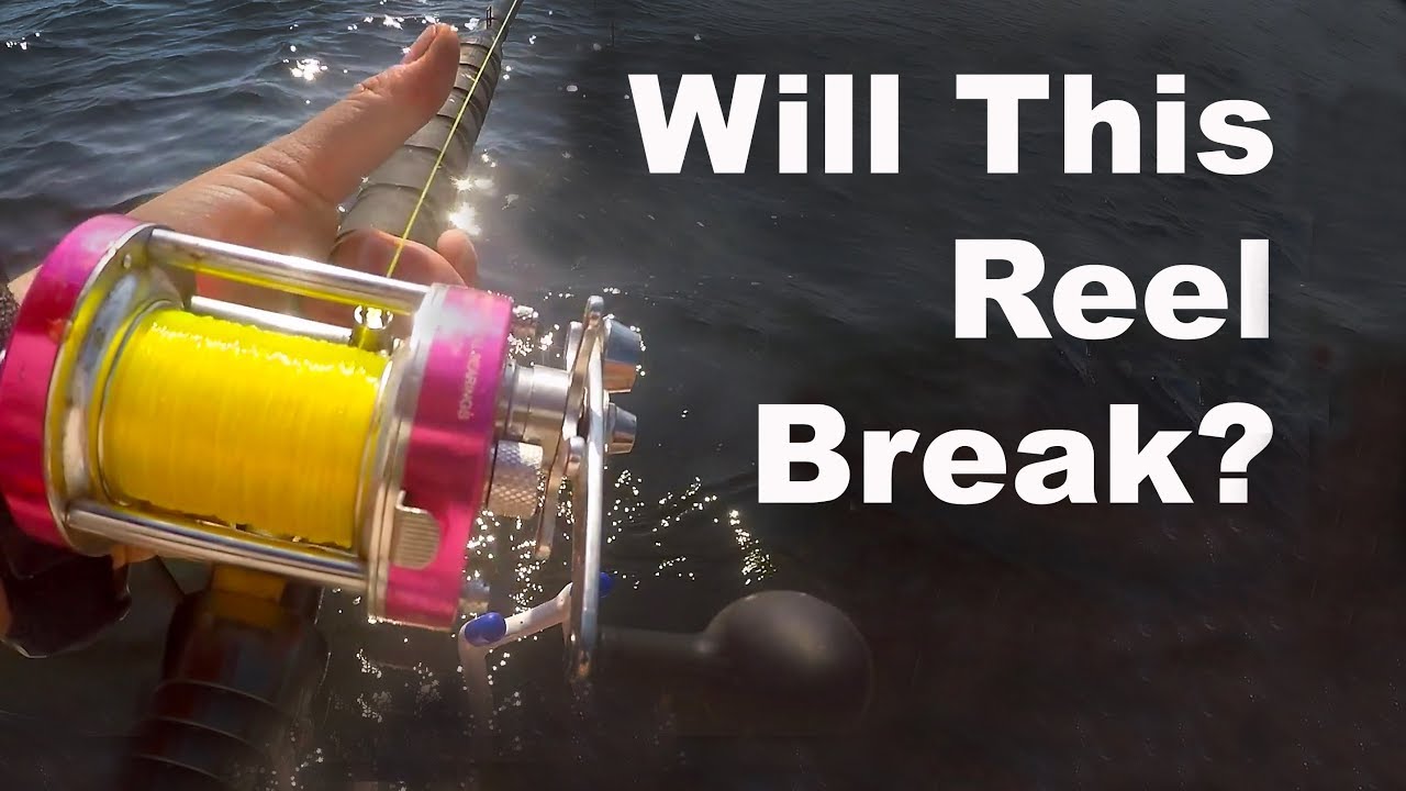 Will This Fishing Reel Break on a SHARK 