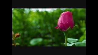 Rumi - Opening of the Rose (music: Romeo and Juliet)