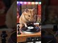 Funny Singing Mouse 🐁😂🐀#airat #cartoonshorts#nightvibe#funny #toonverseai1-d7f