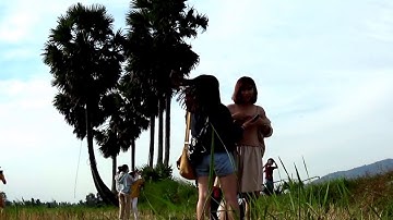 Chỉ dẫn đường đi đến chồm cây thốt nốt hình trái tim - An Tức, Tri Tôn, An Giang 31/12/2018