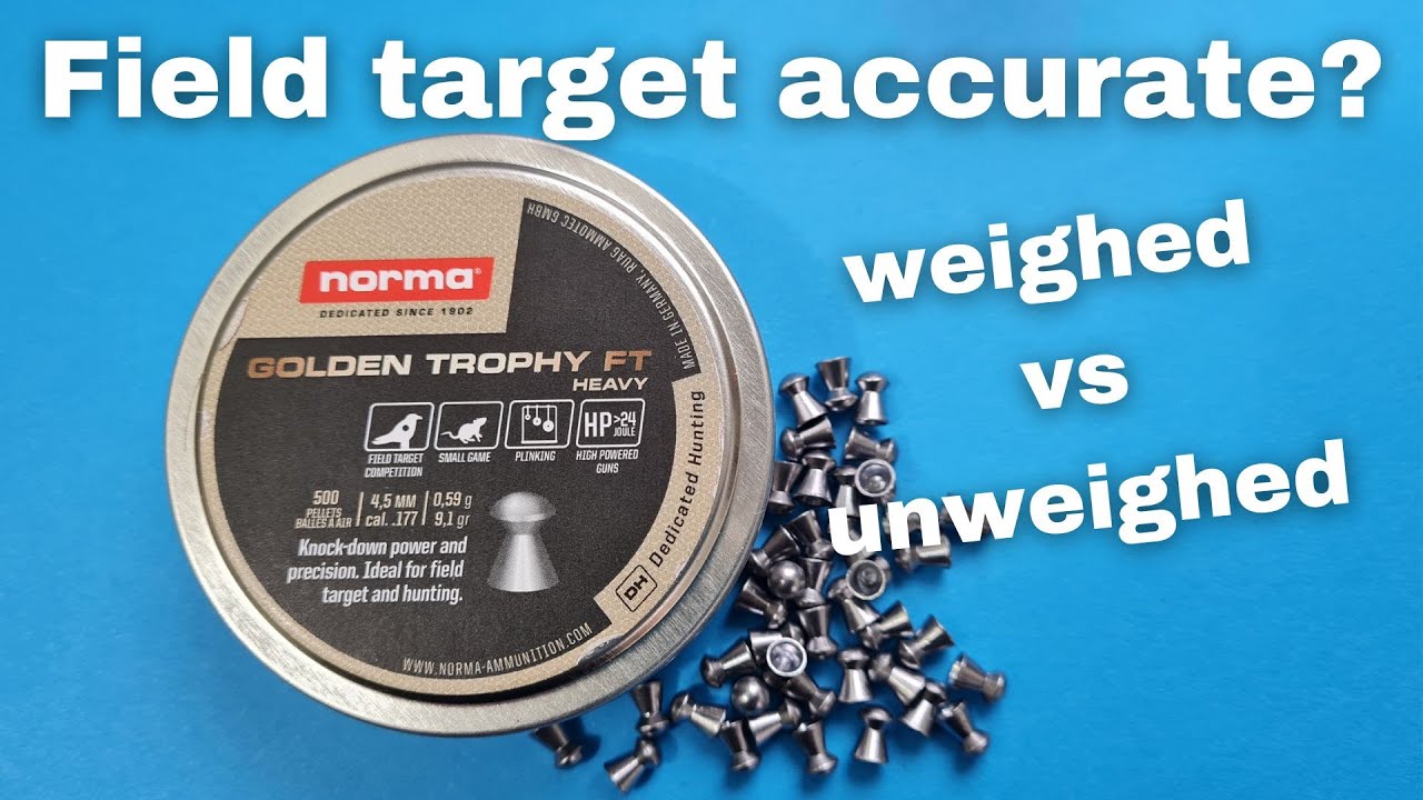 Testing the NORMA golden trophy Ft heavy air rifle pellets .177 YouTube