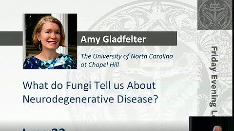 What do Fungi Tell us About Neurodegenerative Disease? - Amy Gladfelte