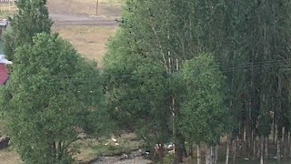Dengbêj Nuroyê Meter(De Bajo Hêdi Bajo) (Arşiv Cemal Kılıç)￼