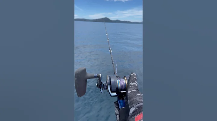 Reel Daiwa saltiga overhead with rod daiwa saltiga krueger with line daiwa saltiga