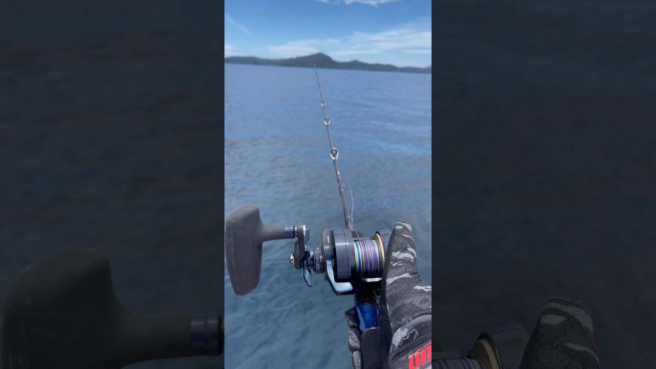 Reel Daiwa saltiga overhead with rod daiwa saltiga krueger with line daiwa saltiga