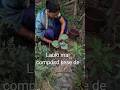 summer vegetable #climbing plant mai composd kese de # how to use composd in Lauki plant &amp; care tips