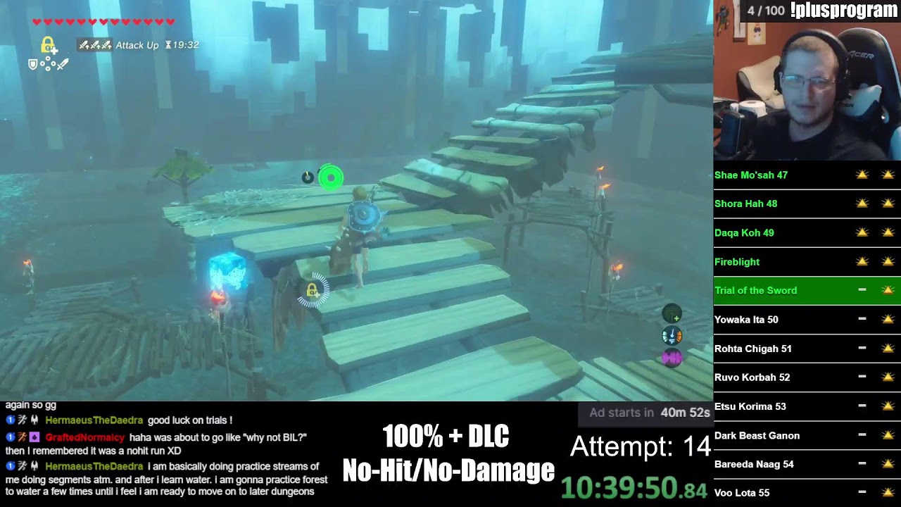BotW 100% + DLC No-Hit/No-Damage Attempt #14