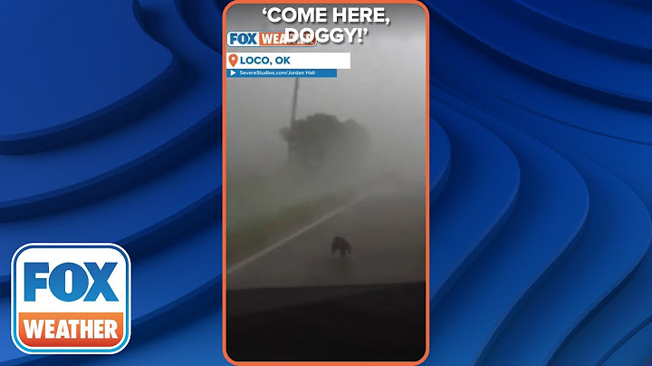 'Come Here, Doggy!': Storm Chasers Save Dog Caught In Oklahoma Tornado