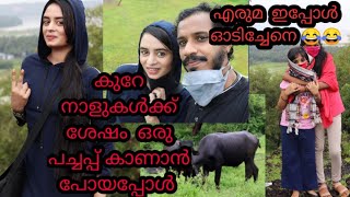 ചാറ്റൽ മഴയത്ത് ഒരു വ്ലോഗ് || എരുമ ഞങ്ങളെ ഓടിപ്പിച്ചു ???