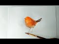 How To Paint Cute Bird, Watercolor Painting Step By Step Guide For Beginners.