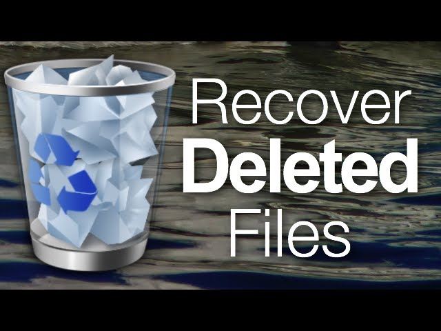 How To Recover Deleted Files From The Recycle Bin Without Installing  Software - Youtube