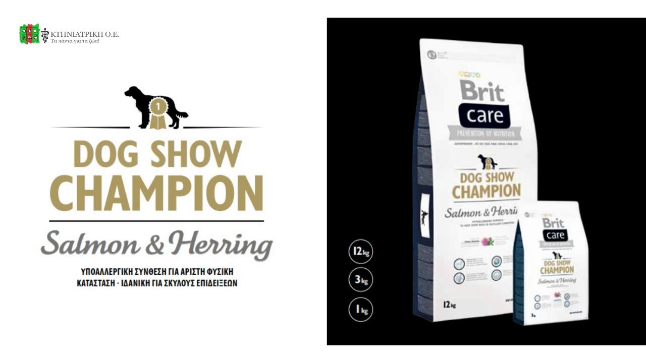 BRIT CARE DOG -