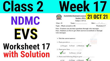 NDMC Class 2 EVS Week 17 Worksheet 17 (21/10/21) || worksheet 17 Class 2nd evs week 17 solution