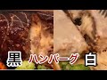 【栃木グルメ洋食】昔ながらの日本の洋食【栃木県小山市】洋めし屋番館坂